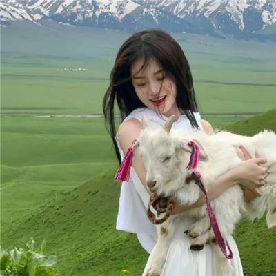 一条鲶鱼救地球