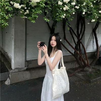 盗贼泰瑞莎